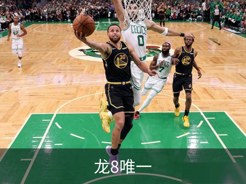 关于龙8唯一
